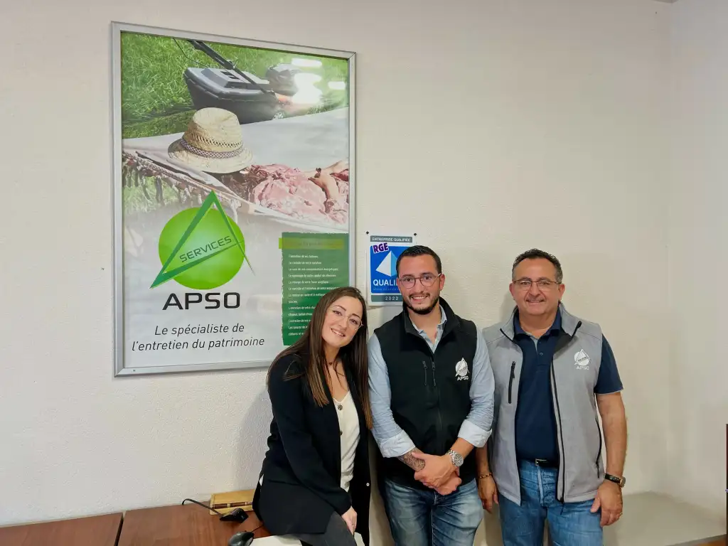 APSO Services